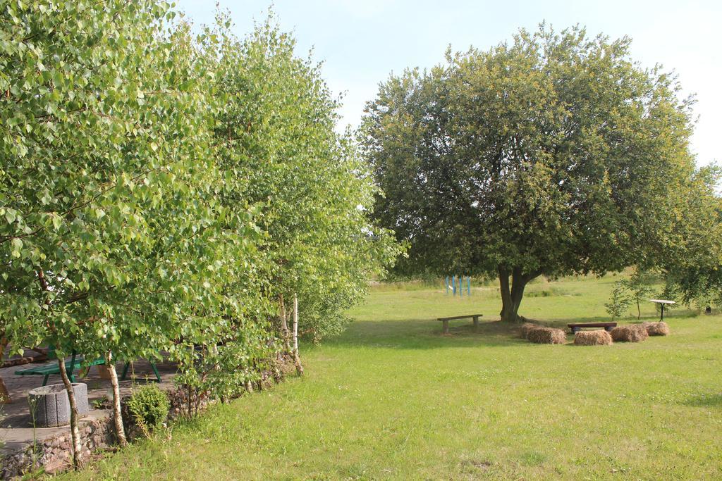 Szteklin Agroturystyka Kociewiak מראה חיצוני תמונה